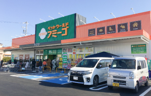 A~[St